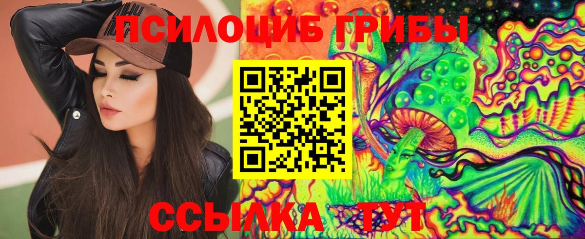 Псилоцибиновые грибы Psilocybine cubensis  Галлюциногенные грибы Cubensis  Рассказово  Вход с VPN 